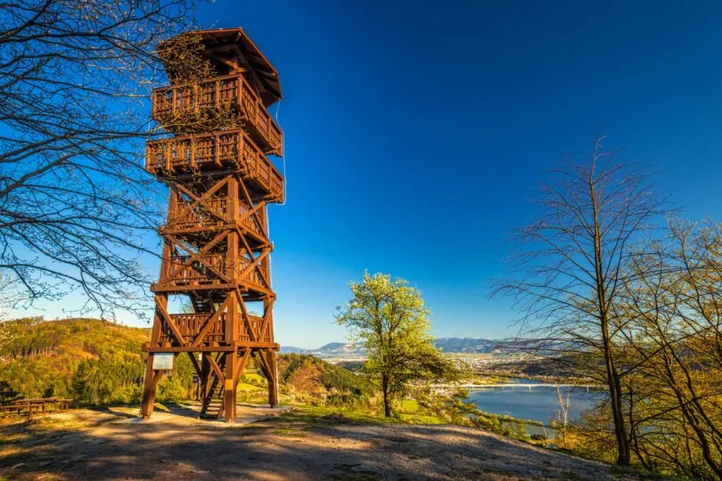 Úprava, údržba a zveladenie prístupovej cesty k Rozhladni Divinka🗼